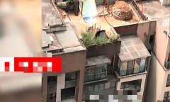 Thanh niên “đứng tim” vì thấy ngôi mộ ở sân thượng đối diện, thở phào nhẹ nhõm khi biết sự thật