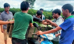 Đắk Lắk bác tin trẻ tử vong do đuối nước nhưng không có nơi chôn cất
