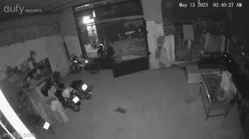 Lợi dụng chủ nhà đi vắng,