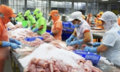 Kiến nghị của Vasep muốn giữ mức thuế xuất 0% để đảm bảo cạnh tranh cho doanh nghiệp