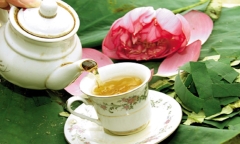 Trà lá sen tốt nhưng nhóm người này nên tránh xa kẻo rước họa vào thân