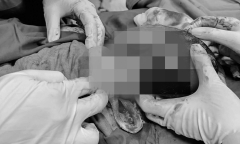 Đón bé trai chào đời với thứ 