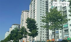 HoREA góp ý loạt nội dung về dự thảo Luật Đất đai (sửa đổi): Kỳ vọng tạo động lực phát triển