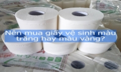 Nên mua giấy vệ sinh màu trắng hay màu vàng?