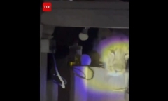 Clip: Soi đèn vào bếp lúc nửa đêm, cả nhà tá hỏa với 