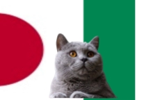 Nhận định soi kèo trận nữ Nhật Bản- Nigeria Olympic Paris, 22h ngày 31/7: Mèo tiên tri gây bất ngờ