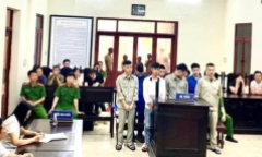 Hiếp dâm tập thể cô gái, 8 