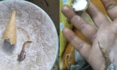 Đang ăn kem, người phụ nữ