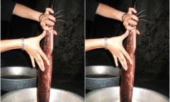 Độc lạ cá trê biết 