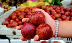 Không còn giá hơn trăm nghìn/kg, mận hậu giá rẻ tràn ngập chợ TP.HCM