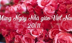 Lời chúc hay và ý nghĩa gửi đến thầy cô nhân Ngày Nhà giáo Việt Nam 20/11