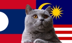 Dự đoán kết quả trận Lào vs Malaysia, 19h30 ngày 14/11: Mèo tiên tri sắm vai chuyên gia