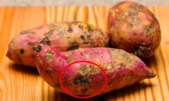 3 loại thực phẩm cực kỳ hại gan, vứt ngay nếu thấy