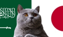 Nhận định soi kèo trận Saudi Arabia vs Nhật Bản, 1h ngày 11/10: Mèo tiên tri quyết chọn Samurai