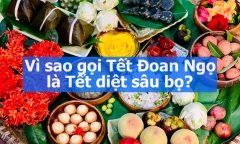 Vì sao gọi Tết Đoan Ngọ là Tết diệt sâu bọ? Sự thật ít người biết