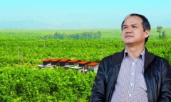 Hoàng Anh Gia Lai (HAG): Em trai Chủ tịch Đoàn Nguyên Đức muốn thoái vốn