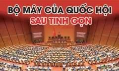 Nghị quyết về tổ chức các cơ quan của Quốc hội