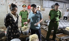 Phát hiện cơ sở sản xuất gần 5 tạ giá đỗ ngâm 