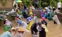 Sự thật về thông tin cả chục người nhảy xuống bể “hôi” cá, mặc chủ trại bất lực van xin