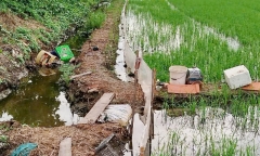 Hiện trường vụ dùng điện bẫy chuột gây chết người ở An Giang