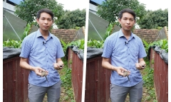 Anh nông dân mỗi năm kiếm thêm 300 triệu nhờ nuôi loài