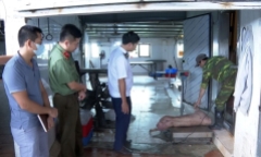 Khởi tố cặp vợ chồng Lê Duy Dương và Nguyễn Thị Hồng Huệ vì bán thịt lợn bệnh cho người dân
