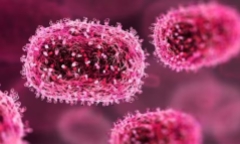 Virus viêm não hiếm gặp khiến ít nhất 16 người ở Ấn Độ tử vong nguy hiểm ra sao?