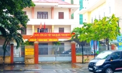 Vụ nữ giám đốc 2 công ty trốn thuế hơn 37 tỷ đồng: Đấu giá 9 ô tô