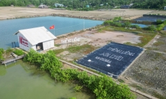Du lịch Sài Gòn về xã đảo Thiềng Liềng ngày cuối tuần
