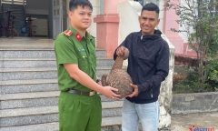 Bắt được tê tê Java 