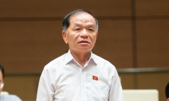 UBTVQH đồng ý khởi tố, bắt tạm giam, tạm đình chỉ nhiệm vụ ĐBQH Lê Thanh Vân