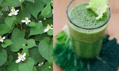 Loại rau vợ đảm thường “ép” chồng ăn tưởng cải thiện chuyện 