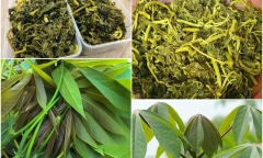 Loại lá mọc trong vườn xưa