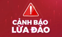 Tin lời