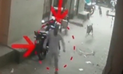 Clip: Bị chó đuổi, người đàn ông ngã xuống đường tử vong