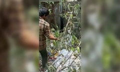 Lực lượng cứu hộ giải cứu chú chó  bị mắc kẹt đầu vào trong chai nhựa