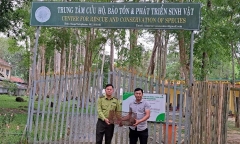 Tin tức thời sự hôm nay (4/4): Khen thưởng người dân giao nộp tê tê quý hiếm
