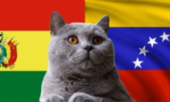 Nhận định soi kèo trận Bolivia vs Venezuela, 3h ngày 6/9: Mèo tiên tri xoay như chong chóng