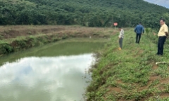 Tìm thấy thi thể bé trai 8 tuổi dưới ao nước tưới cà phê