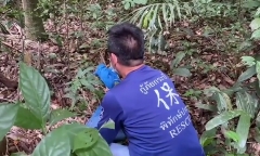 Người dân tá hoả phát hiện rắn hổ mang chúa nặng 20kg bò vào phòng khách 