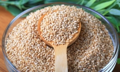 Loại hạt quen thuộc là 