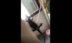 Clip: Tiếng động lạ phát ra trong nhà, người đàn ông toát mồ hôi khi thấy cảnh trước mắt