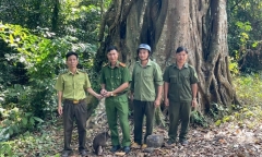 Xuất hiện băng giá dày nhất từ đầu đông trên Fansipan