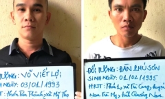 Quảng Nam: Khởi tố bị can nhổ trộm hơn 100 cây sâm Ngọc Linh