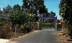 Vụ 3 học viên cai nghiện tử vong: Bảo vệ lén bán thuốc ho cho học viên