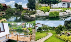 Cơ ngơi