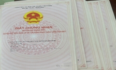 Bắt đối tượng truy nã nguy hiểm sau 15 năm lẩn trốn