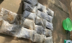 Khởi tố vụ án hình sự, làm rõ nguồn gốc 9,4kg cần sa dạt vào bờ biển Quảng Ngãi