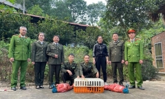 Phát hiện 3 con vật 