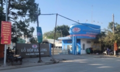 Bắt Tổng Giám đốc Công ty cổ phần đồ hộp Hạ Long